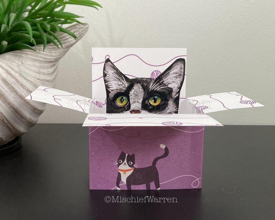 Black + White Tuxedo Cat Blank Box Card. the Original Cat in a Box Card ...