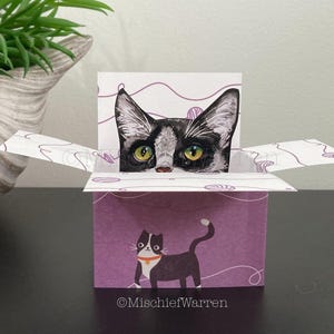 Black + White Tuxedo Cat Blank Box Card. The Original Cat in a Box Card. Personalised for; birthday mothers Day, Easter. Gift card holder.