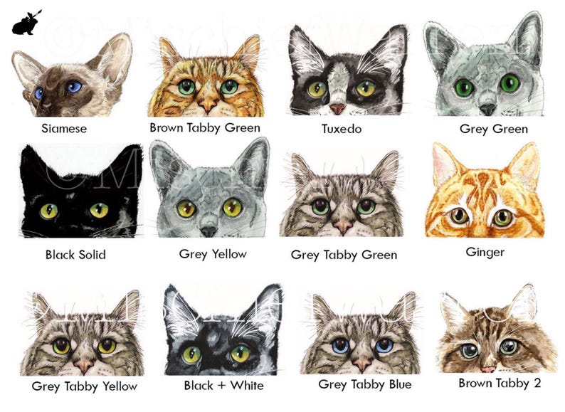 Customised Cat in a Box Card with 2 Cats Foliage. Blank or Personalised