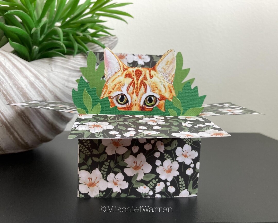 Ginger Cat Box Card: Personalised "pop Up" 3D Gift Card Holder - Etsy ...