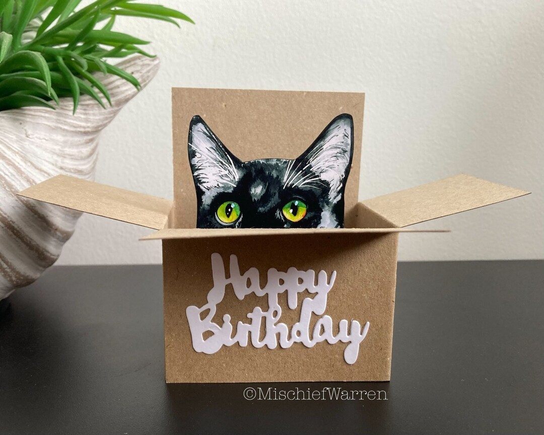 Black + White Cat Birthday Card. the Original Cat in a Box Card. 3D ...
