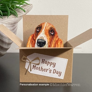 Basset Hound Box Card. Blank or personalised; birthday, Easter, Mother’s Day, Father’s Day, Christmas. Gift card holder.