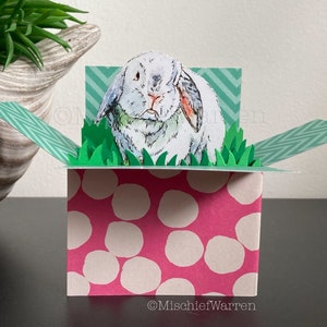 Karte mit Zwerg Hase. 3D Box Karte für Hasenliebhaber. Blank oder Personalisiert für; Geburtstag, Ostern, Muttertag, Geschenkkartenhalter.