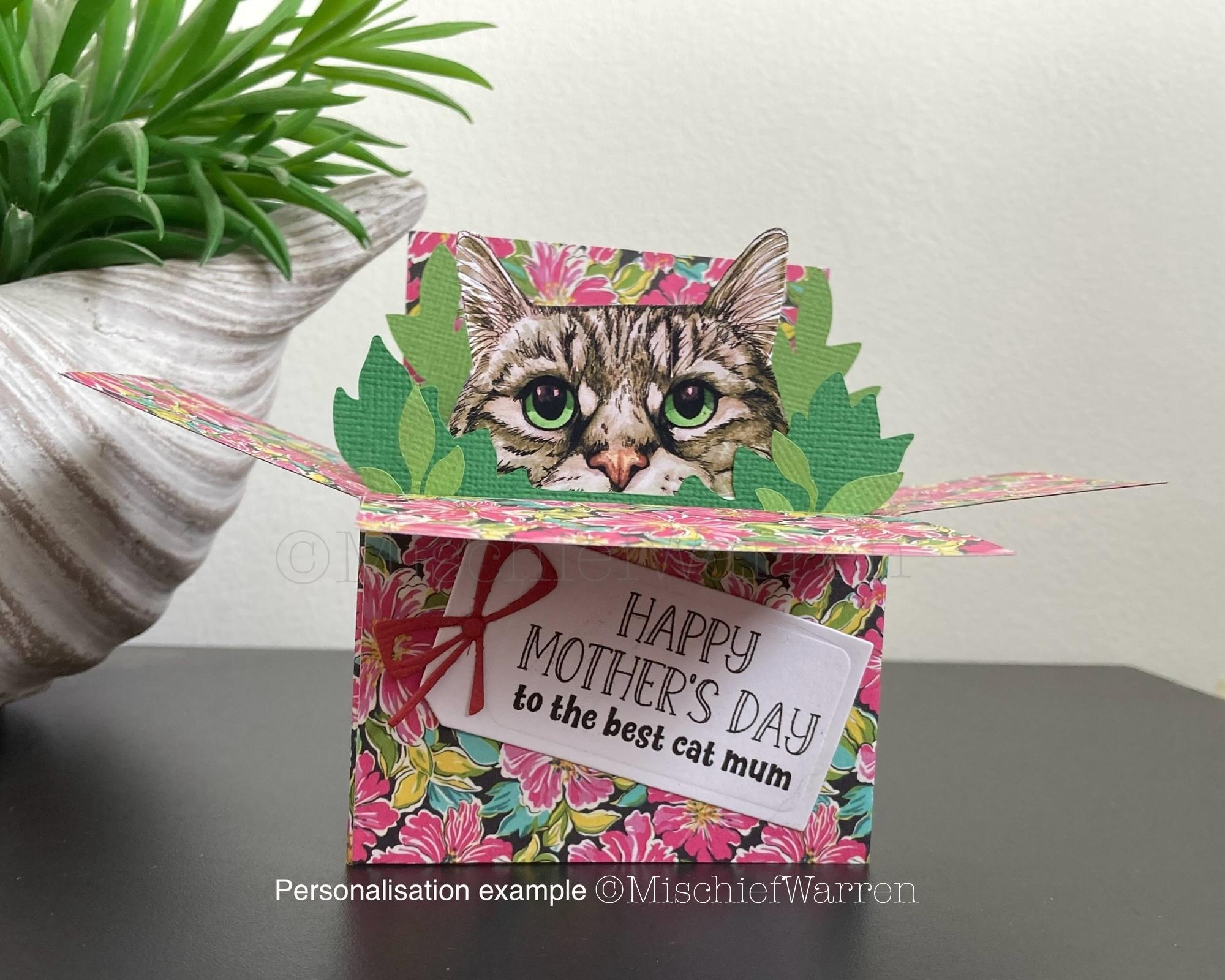Tabby Cat 3D Box Card: Personalised Floral Gift Card Holder - Etsy