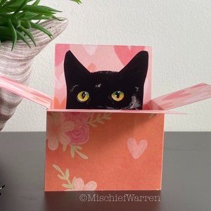 Black Cat Card. The Original Cat in a box card. 3D birthday, Mothers Day or Wedding, Anniversary gift card holder. Personalised.