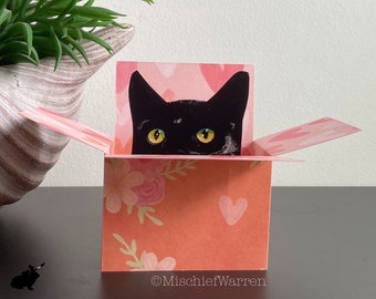 Black Cat Card. The Original Cat in a box card. 3D birthday, Mothers Day or Wedding, Anniversary gift card holder. Personalised.