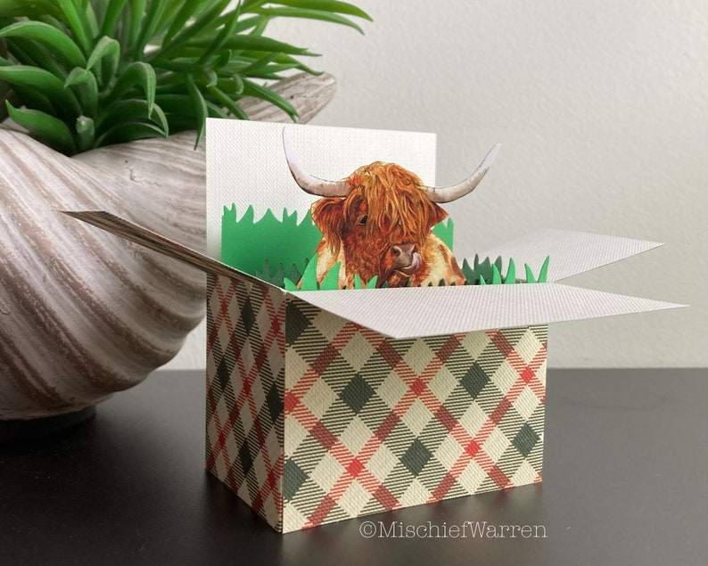 Puede incluir: Una tarjeta desplegable con una vaca de las Tierras Altas con pelaje largo y rojizo-marr&oacute;n, saliendo de una caja. La caja tiene un patr&oacute;n de cuadros en rojo, negro y beige. Hierba de papel verde rodea la vaca. La tarjeta est&aacute; sobre un fondo neutro.