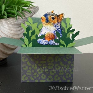 Squirrel Card. 3D Box card Blank or Personalised for; birthday, thank you, Mother’s Day, Father’s day, Christmas. Gift card holder.