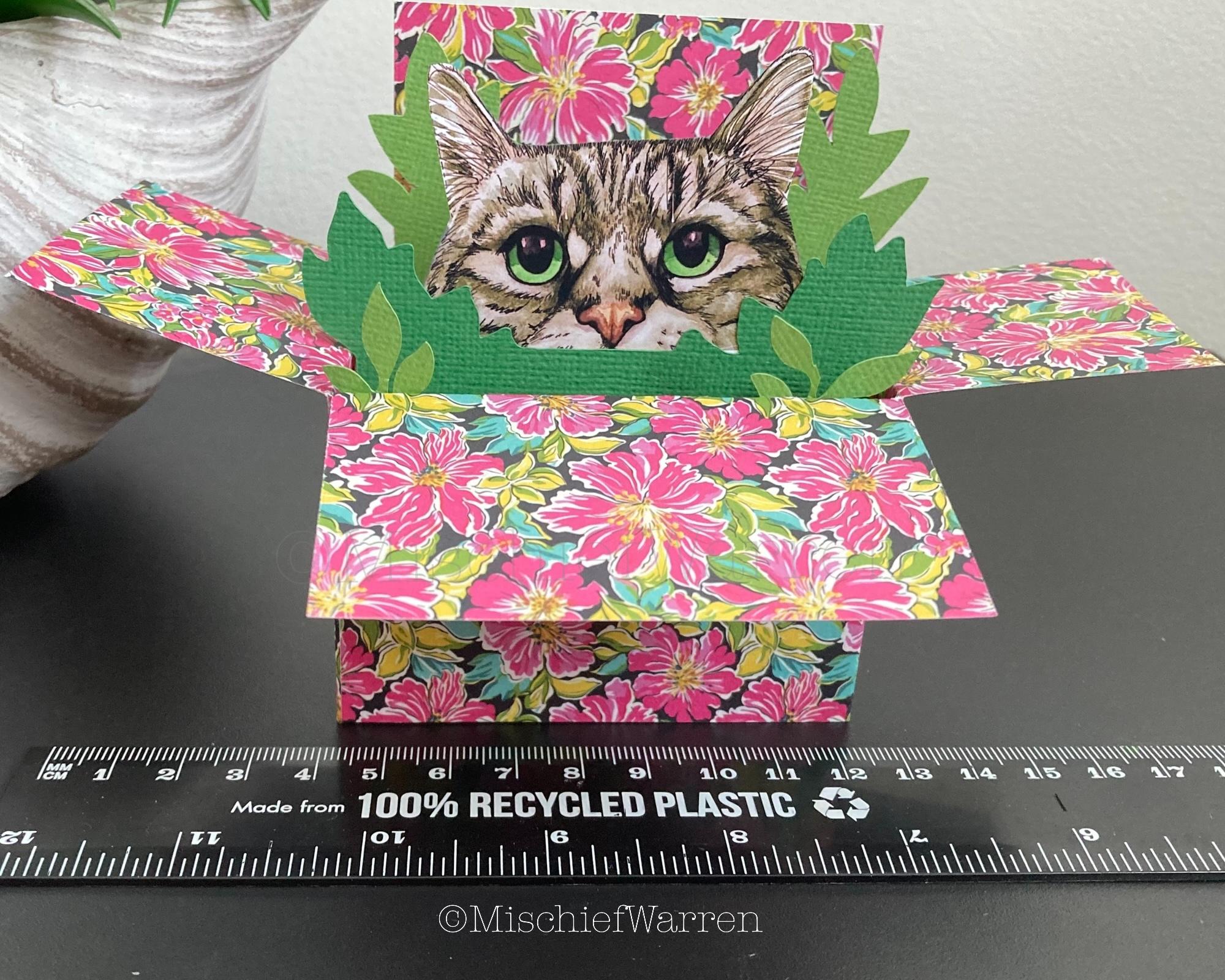 Tabby Cat 3D Box Card: Personalised Floral Gift Card Holder - Etsy