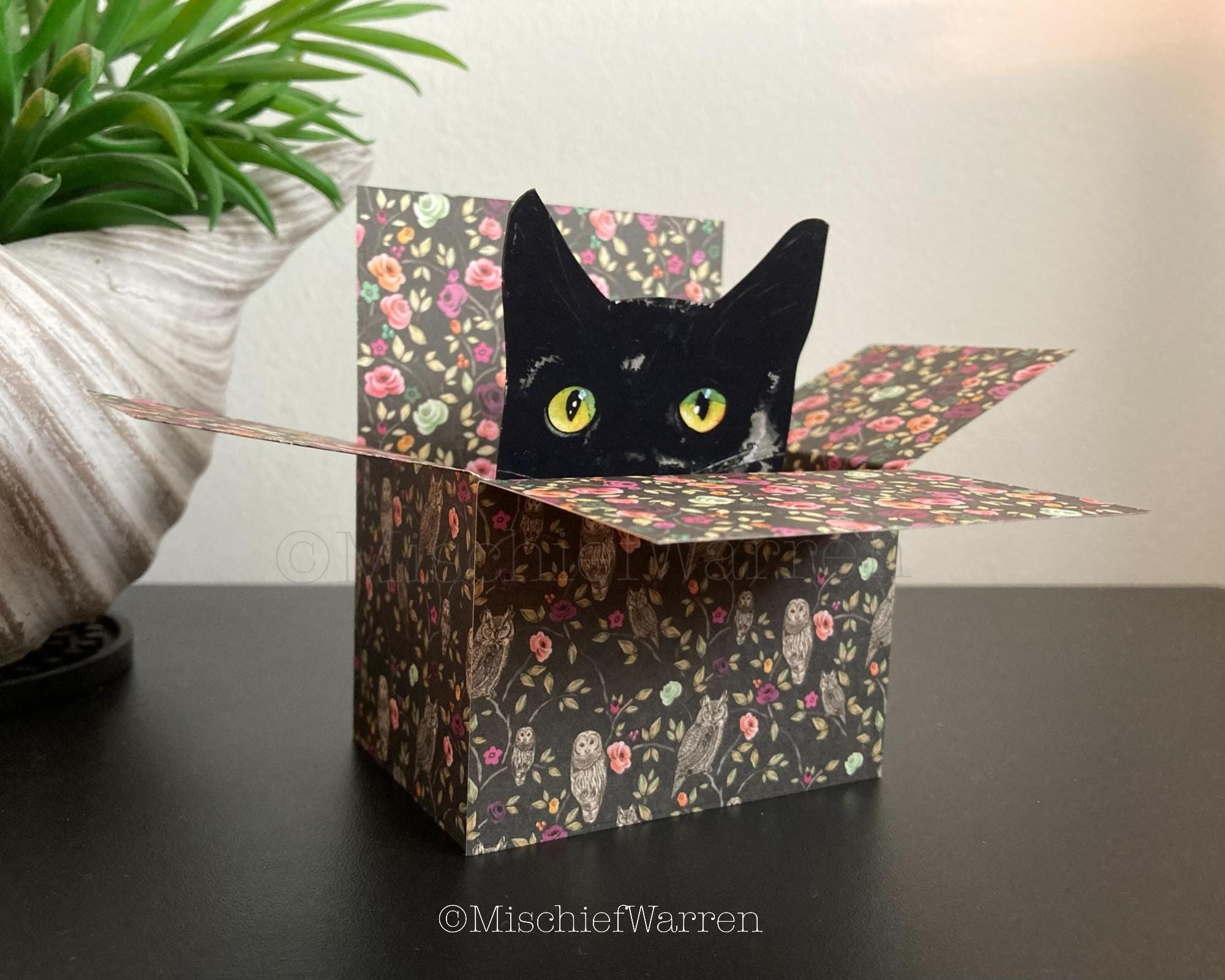 Black Cat Card. the Original Cat in a Box Card. Personalised; Birthday ...
