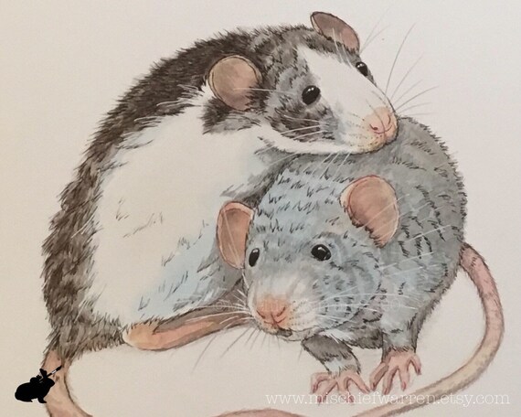 Small Pet Portrait Paintings. Rat Rabbit Guinea Pig Hamster - Etsy New Zealand Small Pet Portrait Paintings. Rat Rabbit Guinea Pig Hamster - Etsy New Zealand