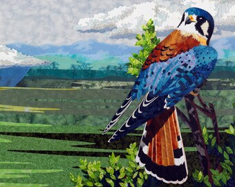 Amerikaanse Torenvalk « Muurprint | Sticker, muursticker, Fine Art Print, verpakt canvas door Kestrel Michaud