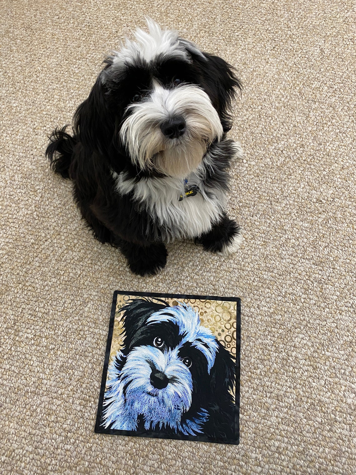 Luke Original Art Quilt | Wall Art, Fabric Art, Fine Art, Limited ...