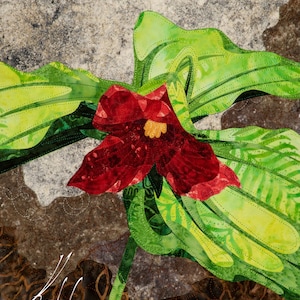 Red Trillium « Wall Print | Decal, Wall Sticker, Fine Art Print, Wrapped Canvas by Kestrel Michaud