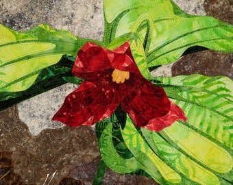 Rode Trillium « Muurprint | Sticker, muursticker, Fine Art Print, verpakt canvas door Kestrel Michaud