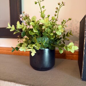 May include: A small potted plant with green leaves and pink flowers in a black pot. The plant is on a gray surface.