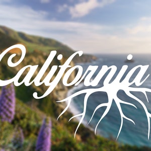 California Roots State Decal Native | Native State Sticker | Home State Decal | Car Decal, laptop decal, window decal