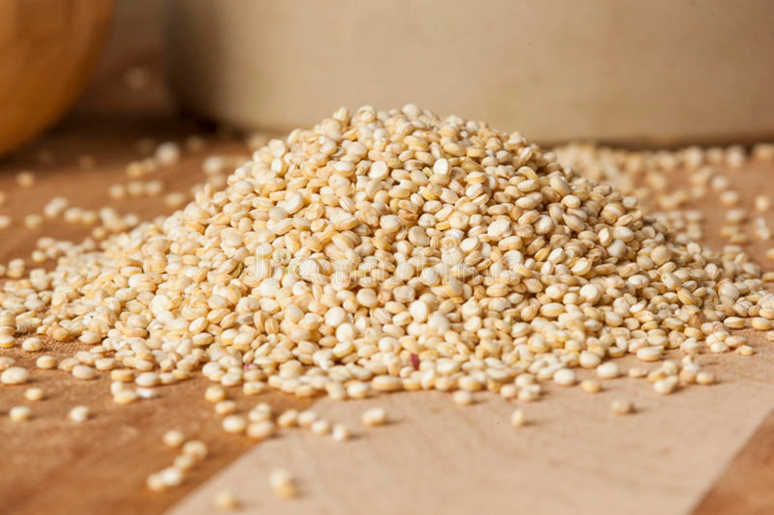 ORGANIC QUINOA SEED 501200 Seeds for Gardening Sprouting Etsy