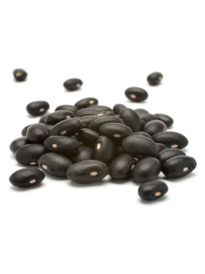 BLACK TURTLE BEAN 50500 Seeds for Gardening Sprouting Etsy UK