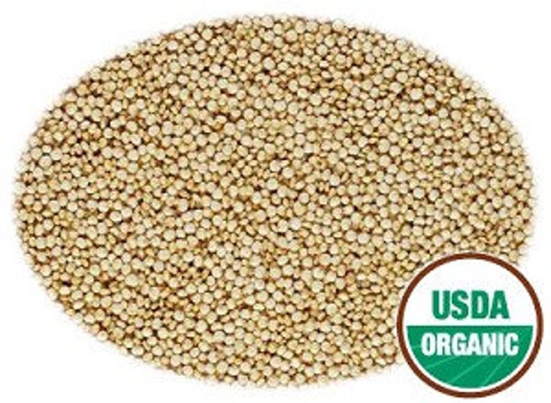 ORGANIC QUINOA SEED 501200 Seeds for Gardening Sprouting Etsy