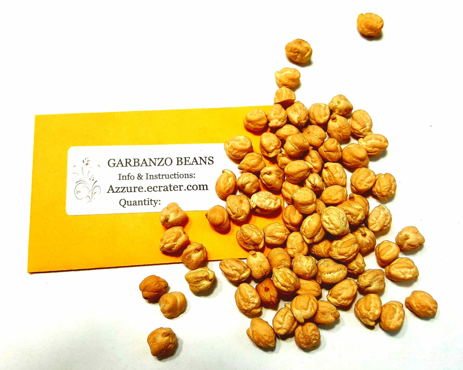 GARBANZO BEAN SEED 50500 Seeds for Gardening Sprouting Etsy