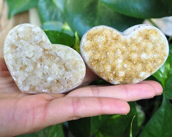 Soft Yellow Sparkly Citrine Hearts, Sunshine Druzy Cluster Cute Quartz Golden Crystal Manifesting Abundance Prosperity Wealth Healing Stones