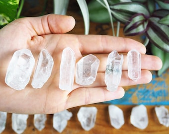 Small Raw Quartz Points, Bulk Stones Clear Crystal Grid Meditation Altar Programmable Energy Chakra Aura Master Healer Plant Display Healing