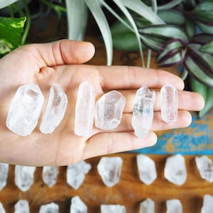Small Raw Quartz Points, Bulk Stones Clear Crystal Grid Meditation Altar Programmable Energy Chakra Aura Master Healer Plant Display Healing