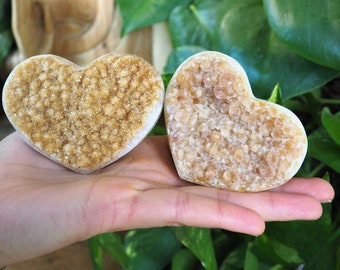 Extra Sparkly Light Citrine Hearts, Druzy Cluster Cute Quartz Golden Yellow Crystal Manifesting Abundance Prosperity Wealth Healing Stones