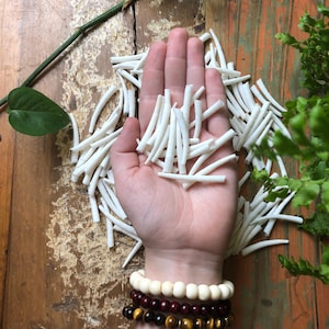 May include: A hand holds a collection of small, white, curved, and cylindrical objects. The objects are scattered on a distressed wooden surface. The image is framed with green foliage and a plant stem. Several bracelets are visible on the wrist.