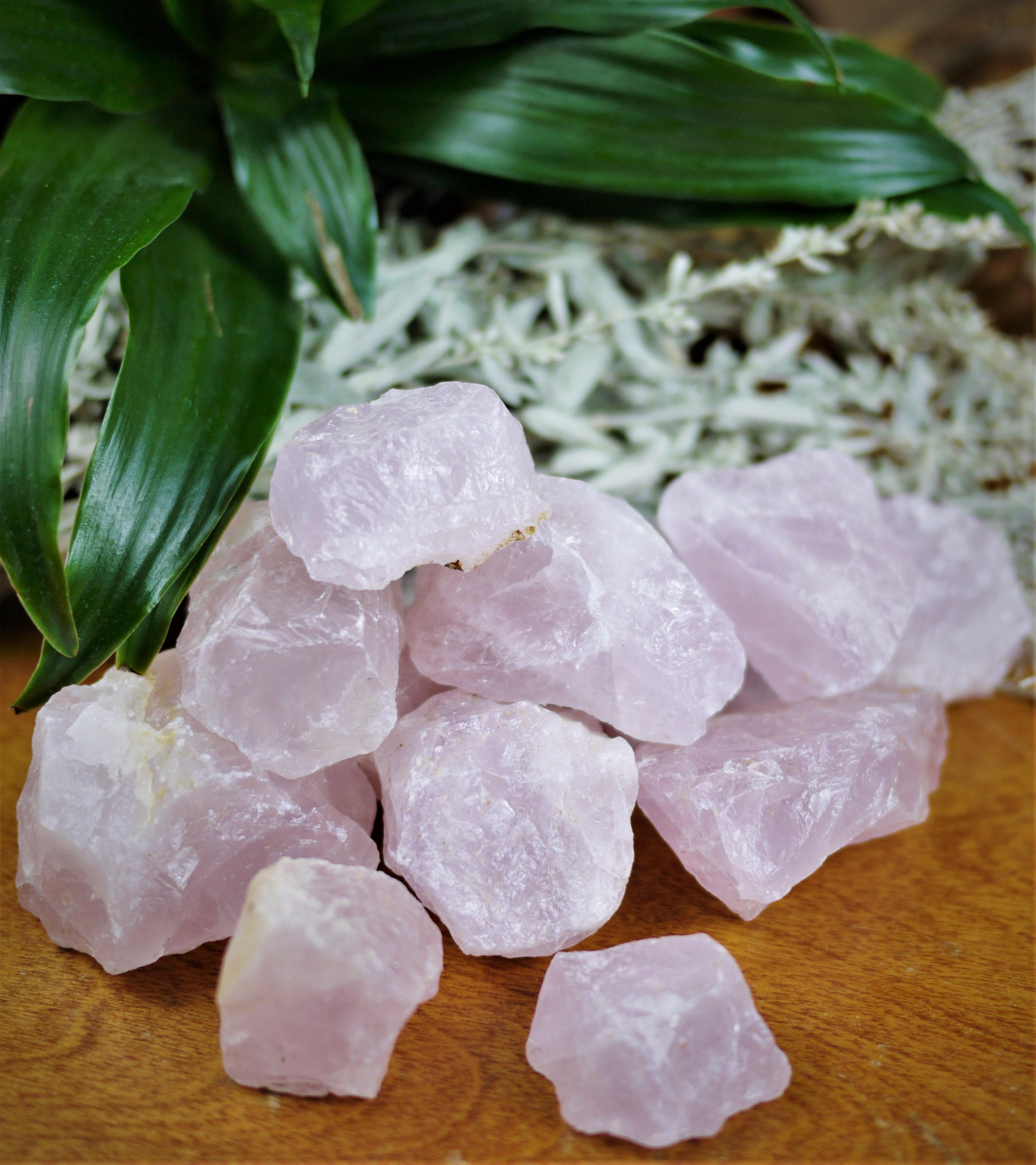 Bulk Small Raw Rose Quartz Chunks Pink Calming Unconditional Etsy