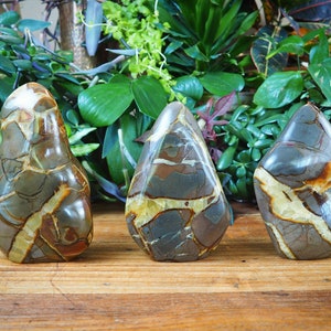 Polished Septarian Free Forms, Septaria Septeyre Dragon Stone Communication Heart Third Eye Throat Solar Plexus Chakra Crystal Healing