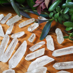 Medium Raw Quartz Points Bulk Stones Clear Crystal Grid Meditation Altar Programmable Energy Chakra Aura Master Healer Plant Display Healing