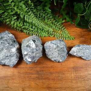 Può includere: Quattro esemplari minerali di pirite grezza e grigia con lucentezza metallica sono esposti su una superficie di legno. Felci e fogliame verdi sullo sfondo, che aggiungono un elemento naturale alla composizione.