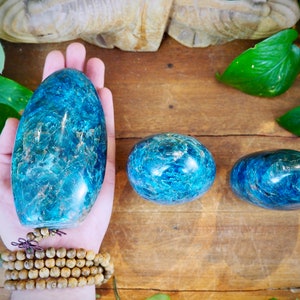 Rounded Apatite Free Forms, Cleansing Dream Stone Akashic Power Goals Clear Confusion Negativity Healing Crystal Manifestation Growth