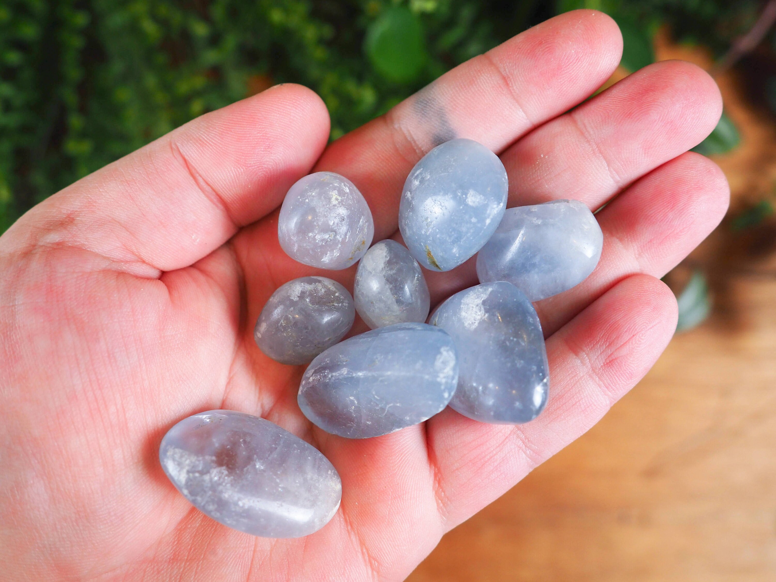 Bulk Blue Celestite Tumble Stone 1-2cm, Crystals for Grids, Meditation,  Bulk Crystals, Blue Tumbled Stone - Etsy Denmark
