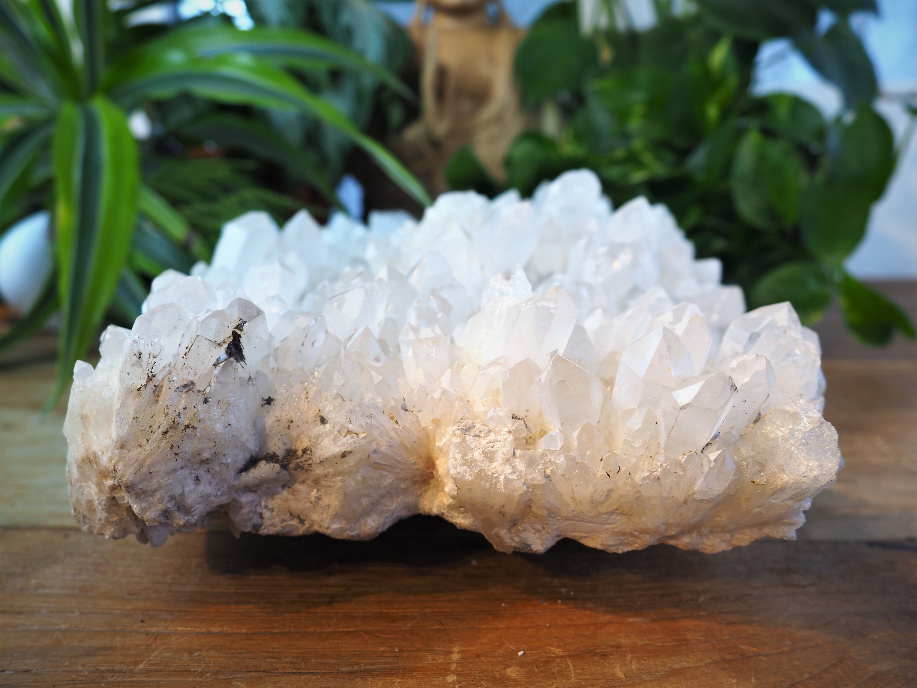 Giant Snowy Quartz Cluster Statement Piece Display Natural Etsy UK