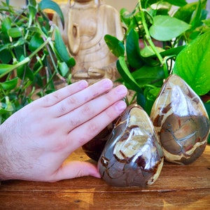 Polished Septarian Free Forms, Septaria Septeyre Dragon Stone Communication Heart Third Eye Throat Solar Plexus Chakra Crystal Healing
