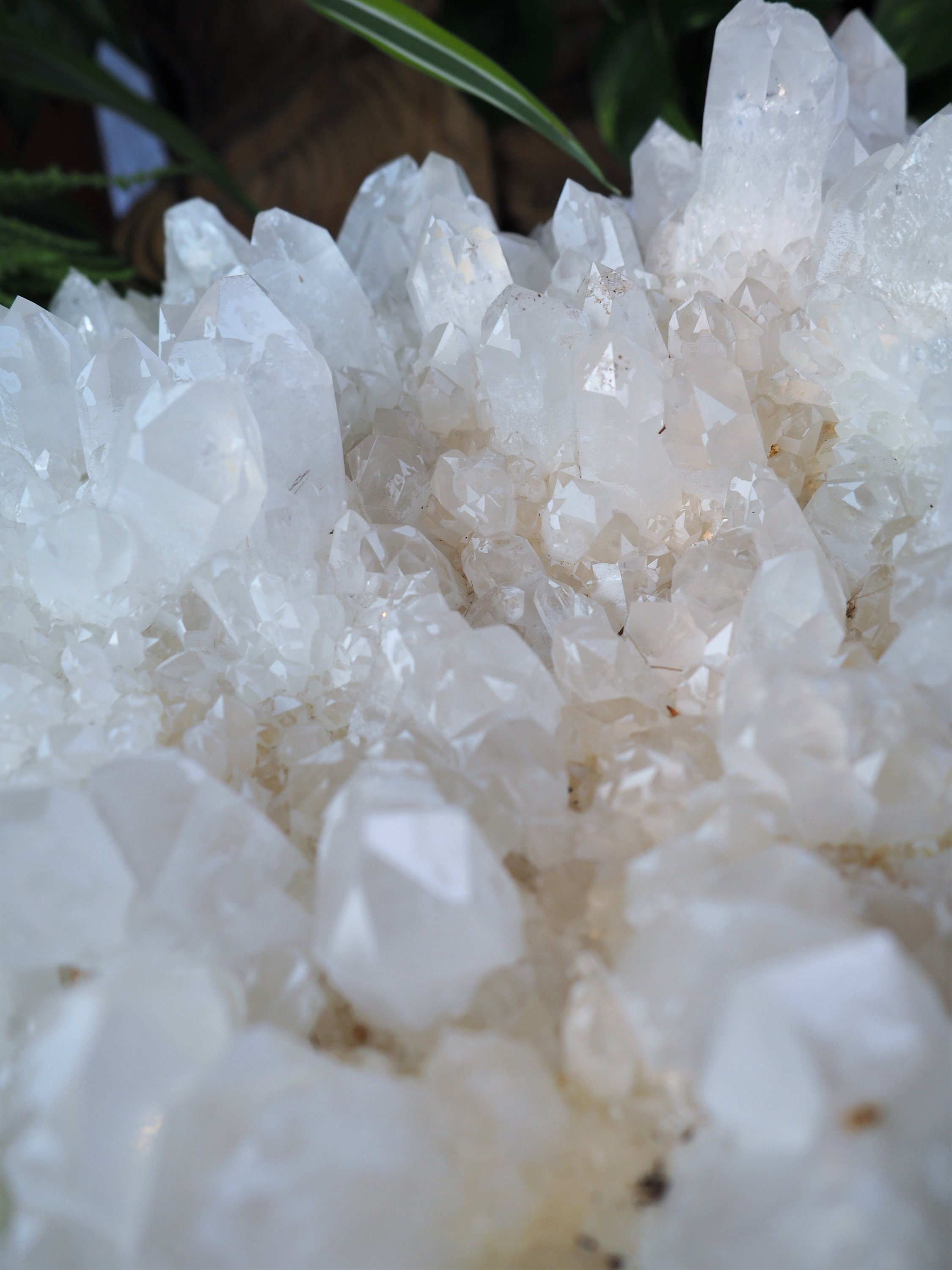 Giant Snowy Quartz Cluster Statement Piece Display Natural Etsy UK