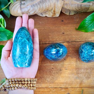 Rounded Apatite Free Forms, Cleansing Dream Stone Akashic Power Goals Clear Confusion Negativity Healing Crystal Manifestation Growth