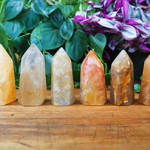 May include: Six quartz crystal points in shades of gold, from pale yellow to amber, stand on a wooden surface. The crystals are polished and faceted. The background features green foliage. The crystals are approximately 10-15 cm tall.