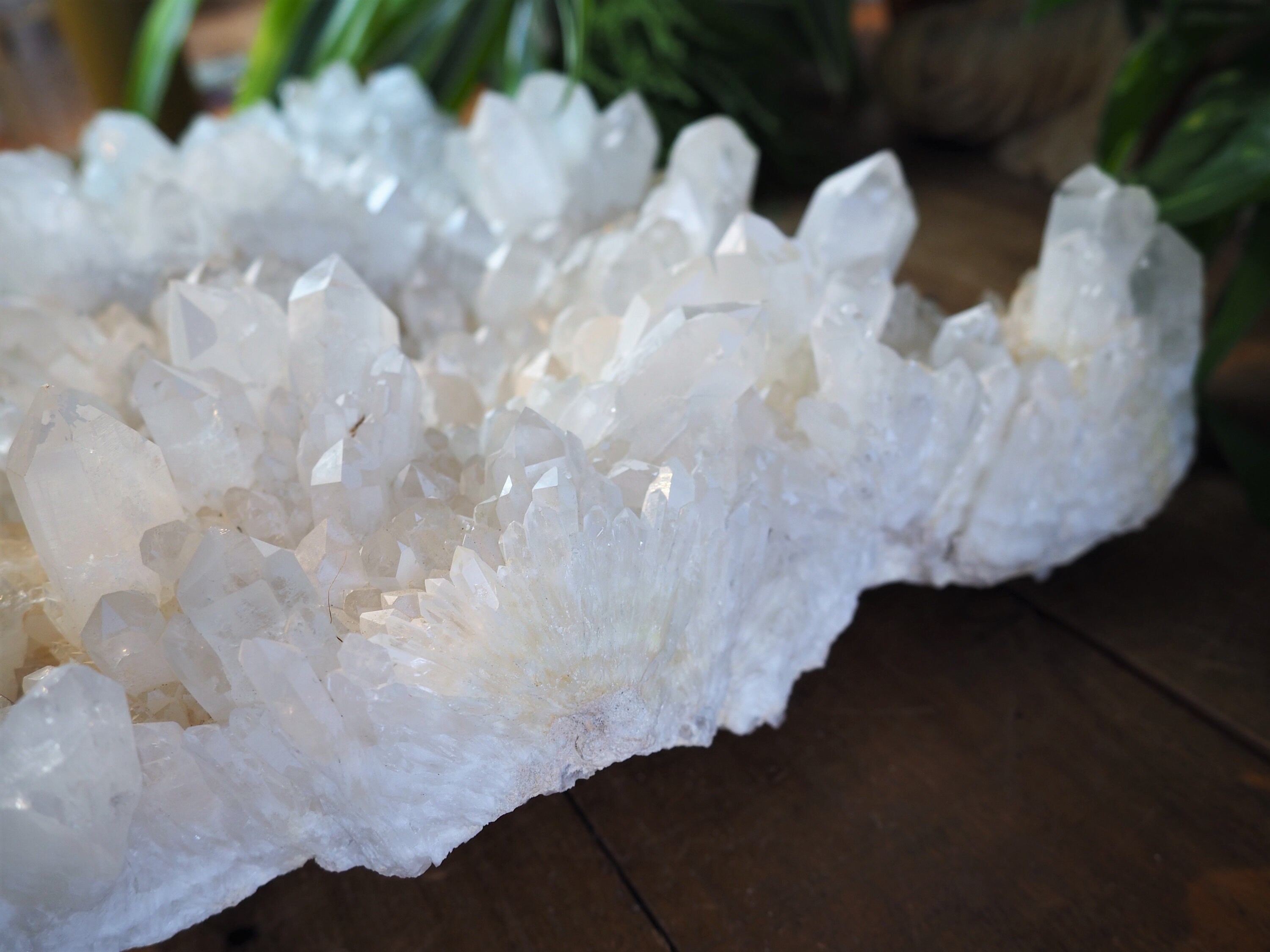 Giant Snowy Quartz Cluster Statement Piece Display Natural Etsy UK