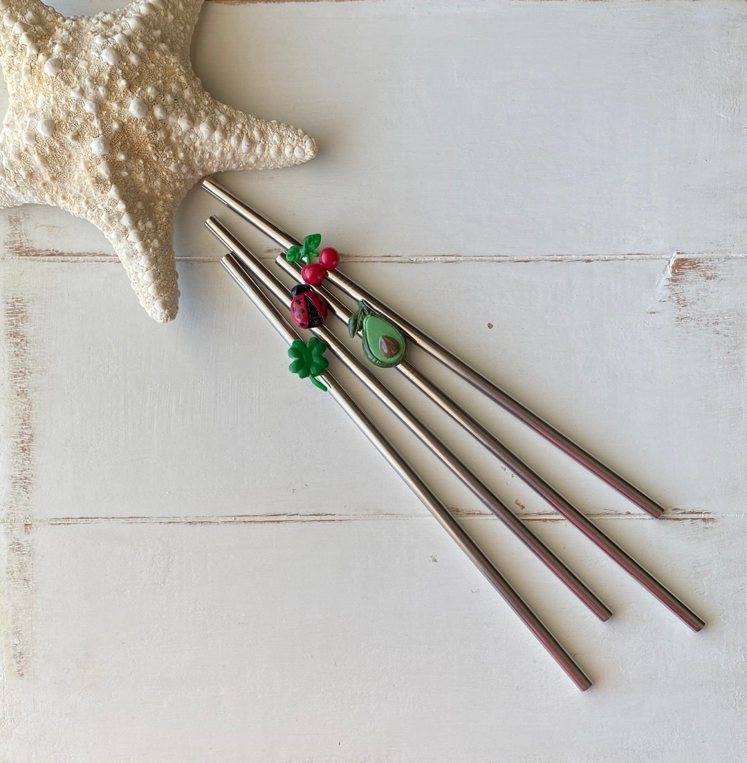 Lady Bug Reusable Straw Stainless Steel Metal, Unique Gift for Gardener ...
