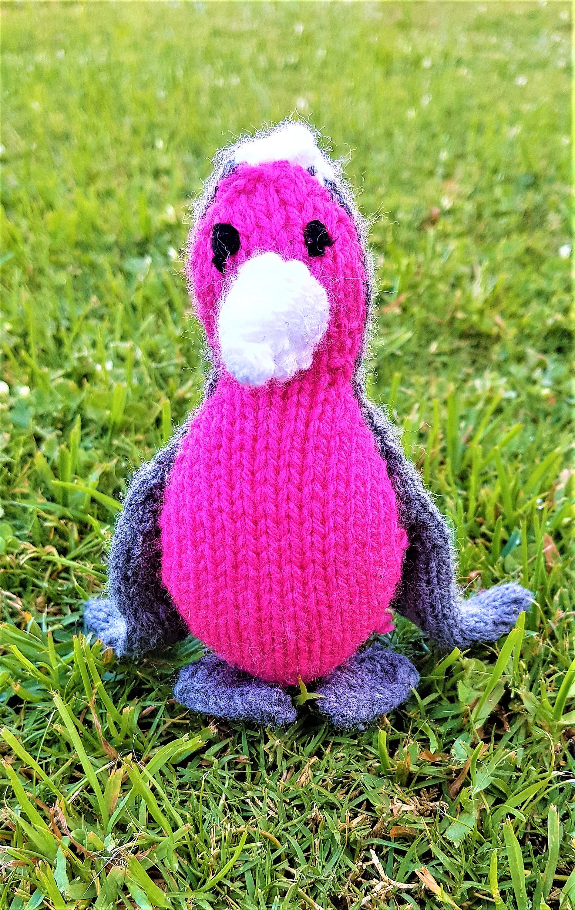 Australian Knitted Bird Collection Animal Plush Toys DSS Etsy