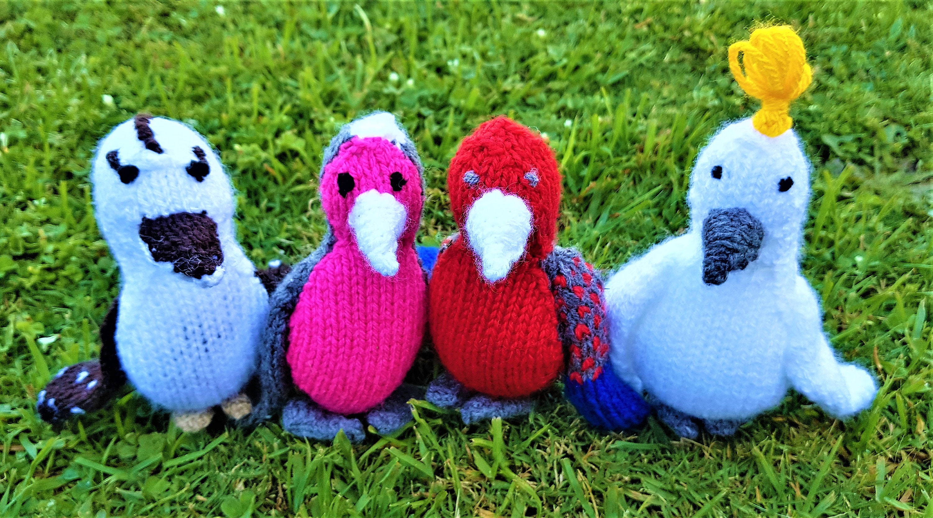 Australian Knitted Bird Collection Animal Plush Toys DSS Etsy