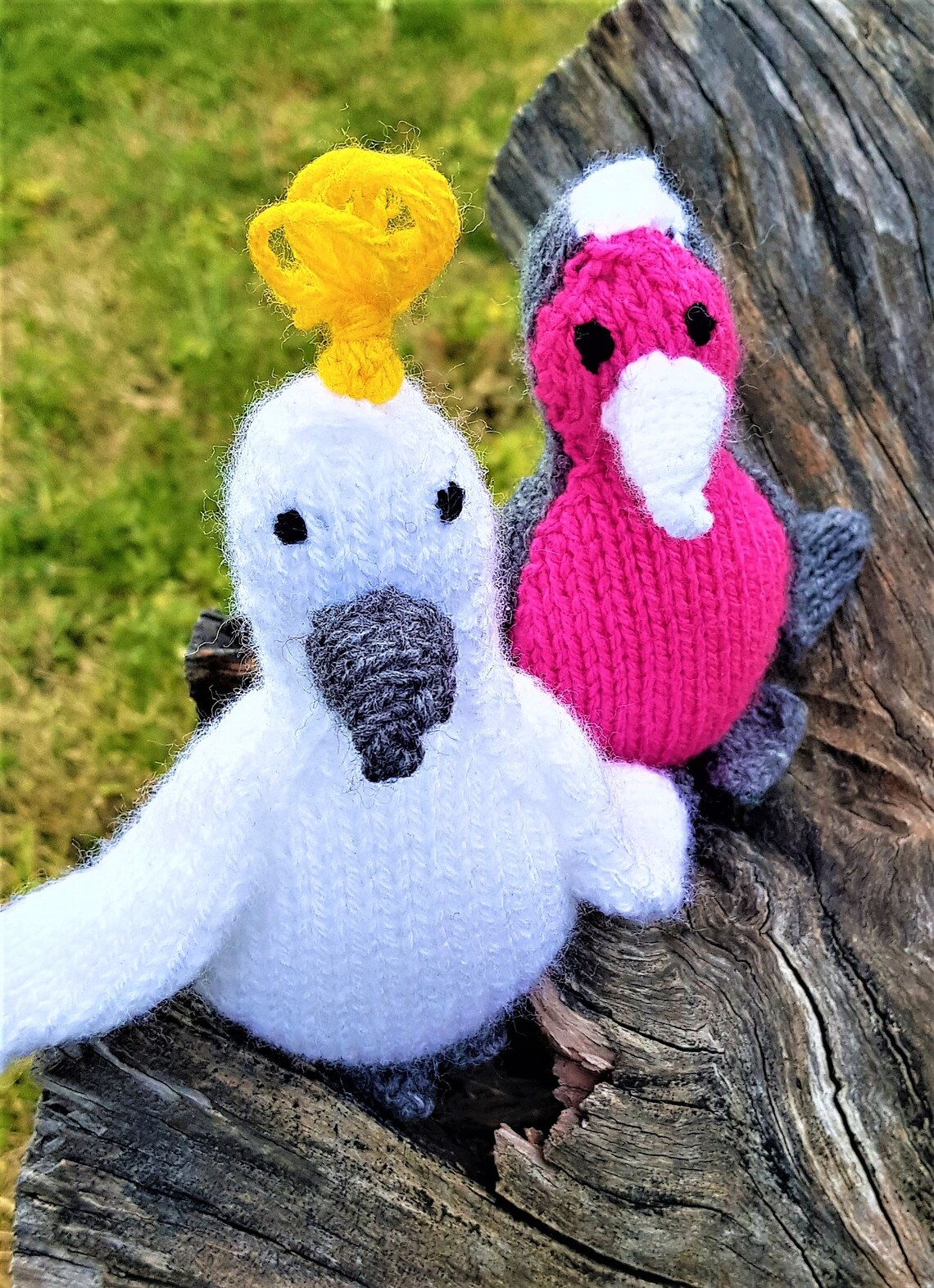 Australian Knitted Bird Collection Animal Plush Toys DSS Etsy