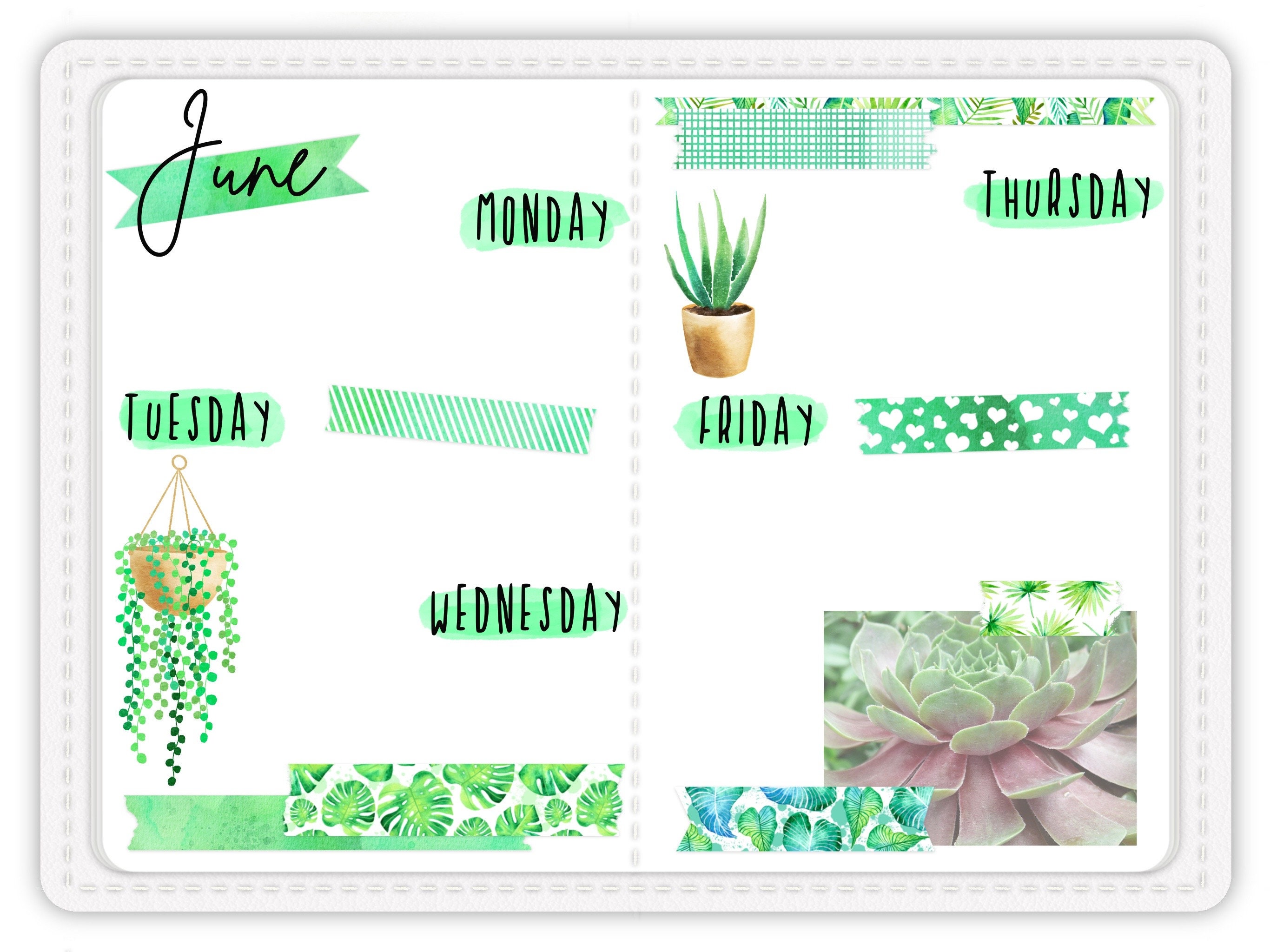Digital Planner Stickers, Green Watercolor Washi Tape Set, PNG Stickers and  Precropped Stickers for Goodnotes, Tropical and Plant Stickers -   Australia