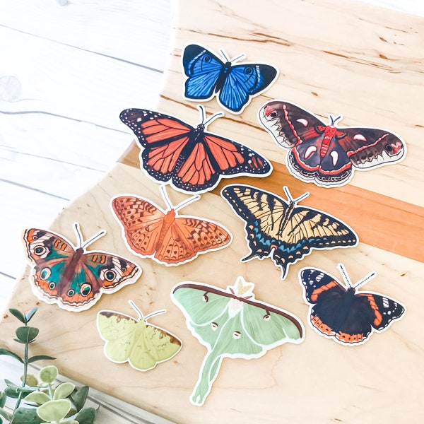 BUTTERFLY & MOTH STICKERS • waterproof sticker, aesthetic stickers, butterfly sticker, moth stickers, water bottles stickers, laptop sticker