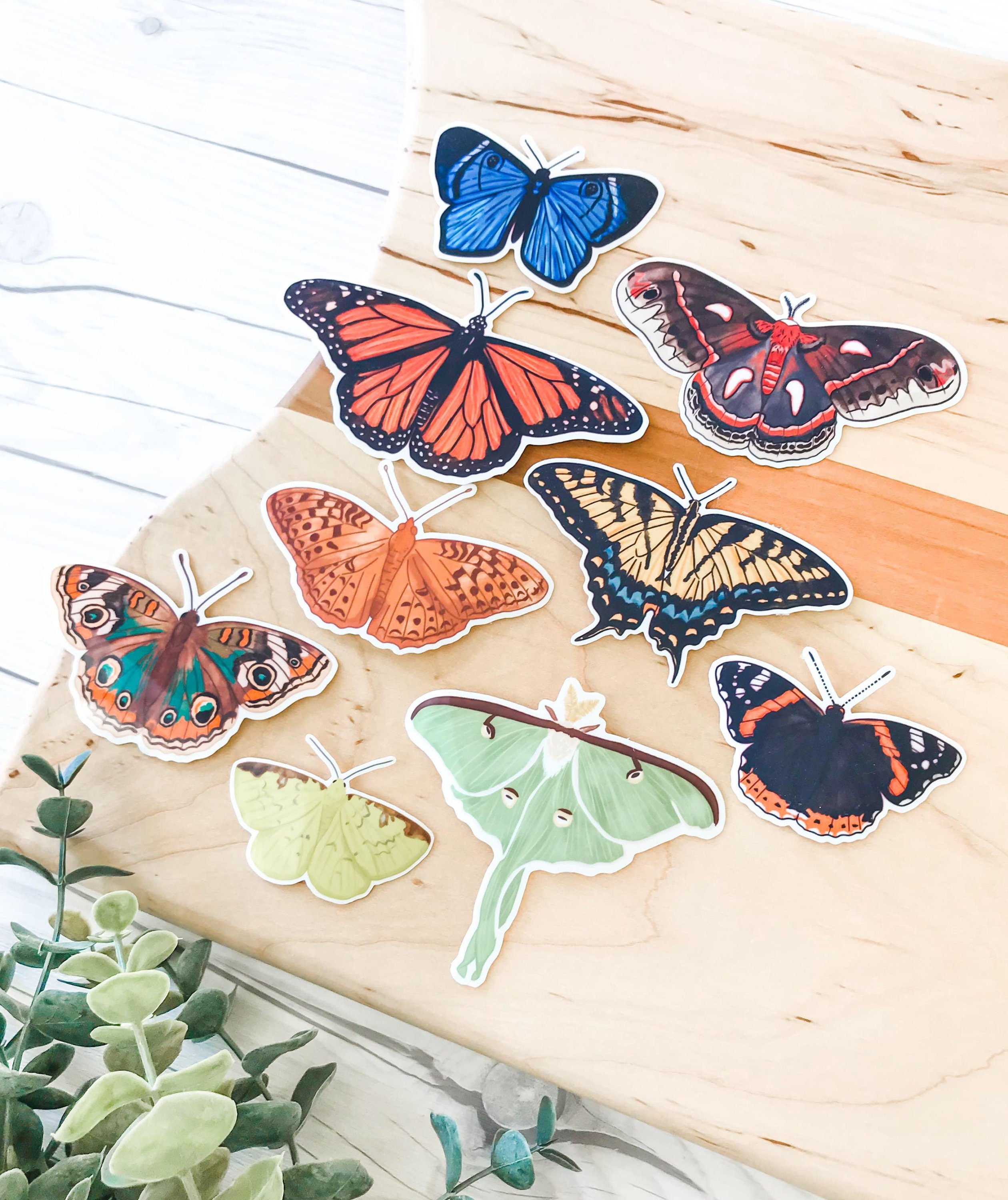 BUTTERFLY & MOTH STICKERS • waterproof sticker, outdoors aesthetic stickers, butterfly sticker, moth stickers, water bottles stickers
