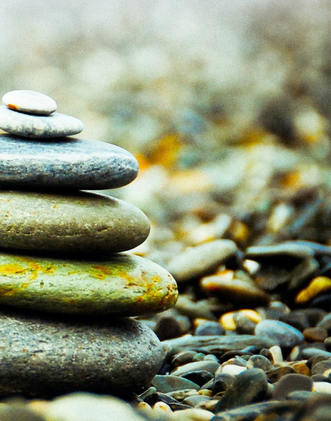 Natural Zen Stone Art Wall Nature Art Set Home Décor Art Etsy